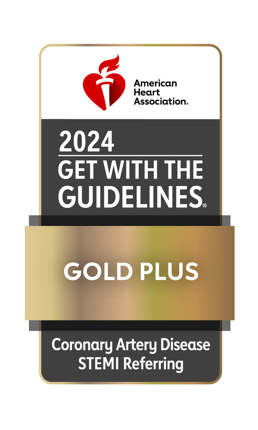 Stemi Gold 2024