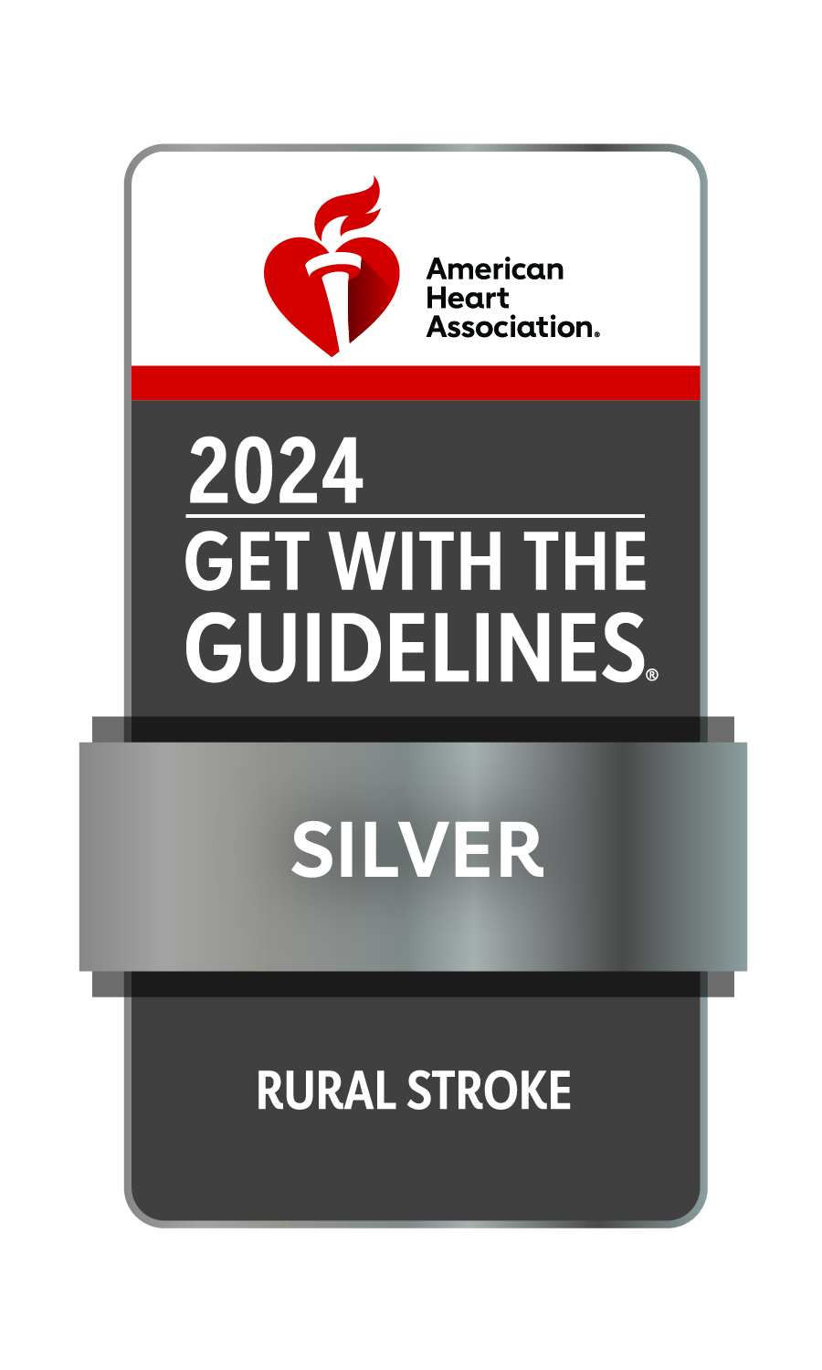 Stroke 2024 Silver
