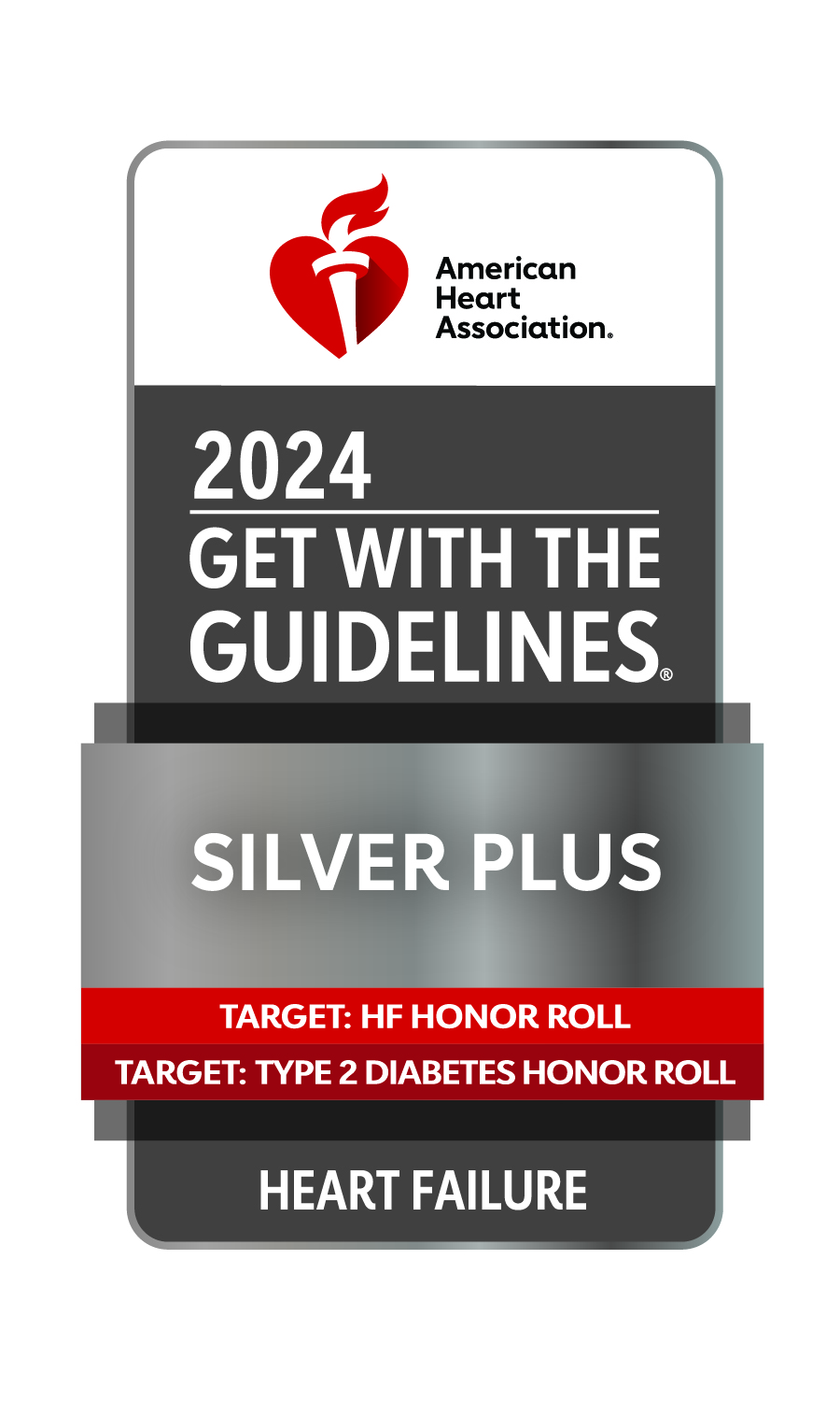 Plus 2024 Silver