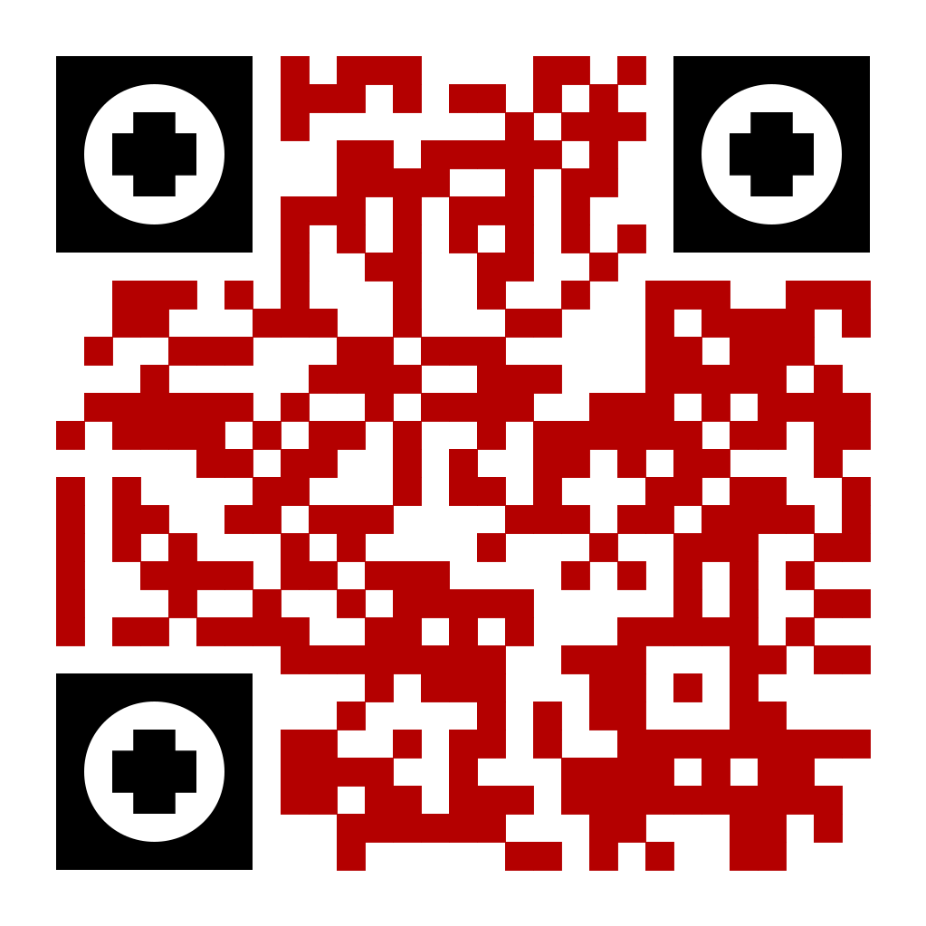 Brian Boes QR code