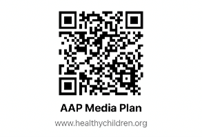 AP Media plan